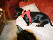 122: Paul 05-11-15 0001