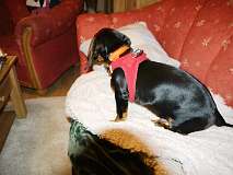 123: Paul 05-11-15 0002