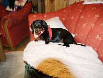 124: Paul 05-11-15 0003