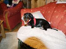 125: Paul 05-11-15 0004