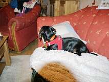 128: Paul 05-11-15 0008