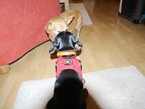 130: Paul 05-11-15 0015