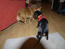 117: Paul 05-11-15 0021