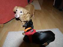 70: Paul 05-11-15 0022