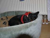 107: Paul 05-11-15 0023