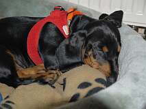 60: Paul 05-11-15 0024