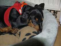 26: Paul 05-11-15 0025