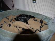 67: Paul 05-11-15 0032