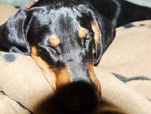 131: Paul 05-11-15 0033