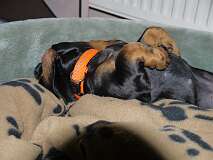 57: Paul 05-11-15 0036