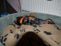 1: Paul 05-11-15 0037