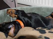 76: Paul 05-11-15 0038