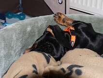 47: Paul 05-11-15 0041