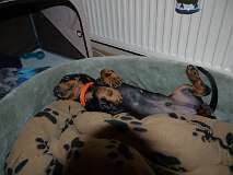 40: Paul 05-11-15 0042