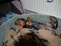 42: Paul 05-11-15 0043