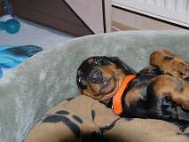 82: Paul 05-11-15 0044