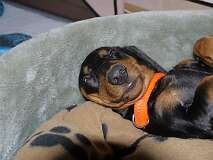 75: Paul 05-11-15 0045