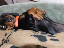 115: Paul 05-11-15 0049