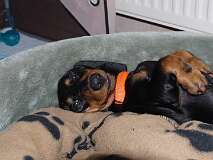 72: Paul 05-11-15 0050