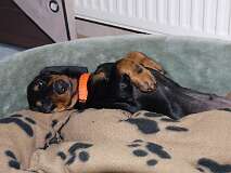 35: Paul 05-11-15 0052