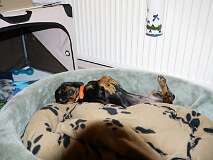 132: Paul 05-11-15 0053