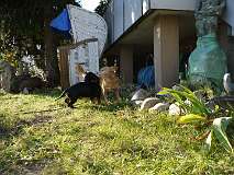 88: Paul 05-11-15 0054