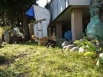 112: Paul 05-11-15 0055