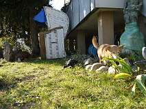 55: Paul 05-11-15 0056