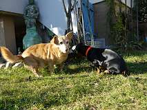 78: Paul 05-11-15 0057