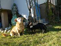 118: Paul 05-11-15 0058