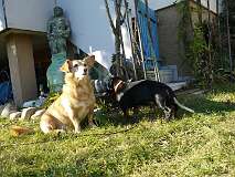 120: Paul 05-11-15 0059