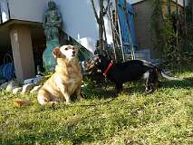 89: Paul 05-11-15 0060