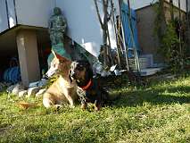 110: Paul 05-11-15 0061