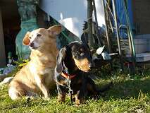 50: Paul 05-11-15 0062