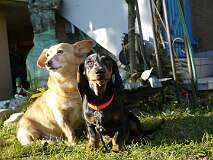 38: Paul 05-11-15 0063