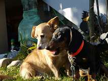 19: Paul 05-11-15 0064