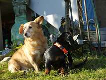 83: Paul 05-11-15 0065