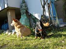 119: Paul 05-11-15 0066