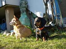 133: Paul 05-11-15 0067