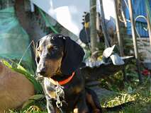 23: Paul 05-11-15 0068