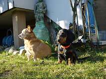 104: Paul 05-11-15 0069