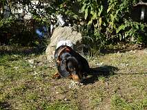 21: Paul 05-11-15 0070