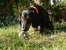 32: Paul 05-11-15 0072