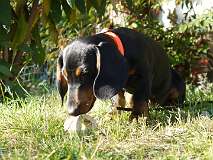 27: Paul 05-11-15 0073