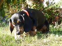 64: Paul 05-11-15 0074