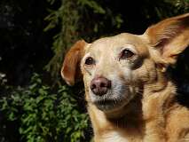 33: Paul 05-11-15 0076