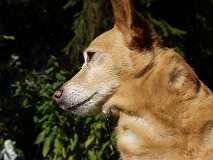 65: Paul 05-11-15 0077