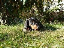 28: Paul 05-11-15 0078