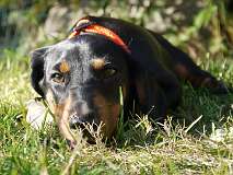 63: Paul 05-11-15 0079