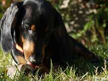 77: Paul 05-11-15 0080